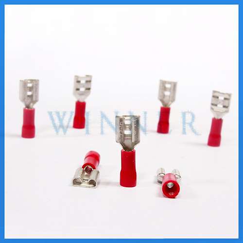 سرسیم فیشی کولری مادگی 1.5